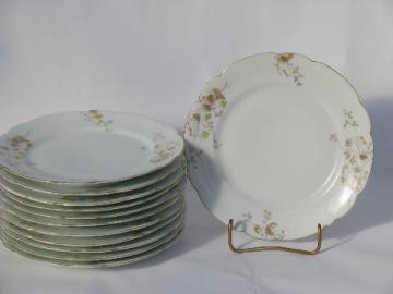 catalog photo of Bohemia antique Imperial Karlsbad floral transferware china, 12 salad plates