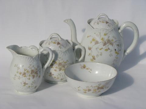 photo of Bohemia antique Imperial Karlsbad floral transferware china tea pot set #1