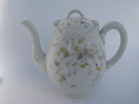 photo of Bohemia antique Imperial Karlsbad floral transferware china tea pot set #2
