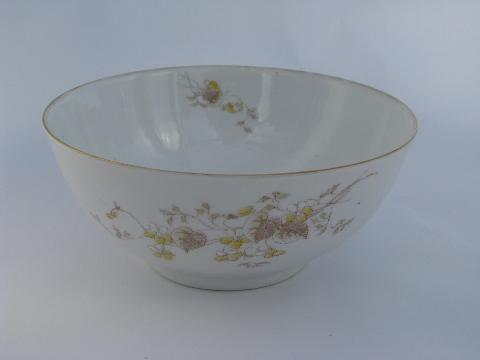 photo of Bohemia antique Imperial Karlsbad floral transferware china tea pot set #3