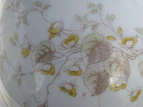 photo of Bohemia antique Imperial Karlsbad floral transferware china tea pot set #5