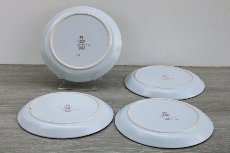 photo of Buchan thistle ware vintage hand painted stoneware dinner plates made in Scotland #5