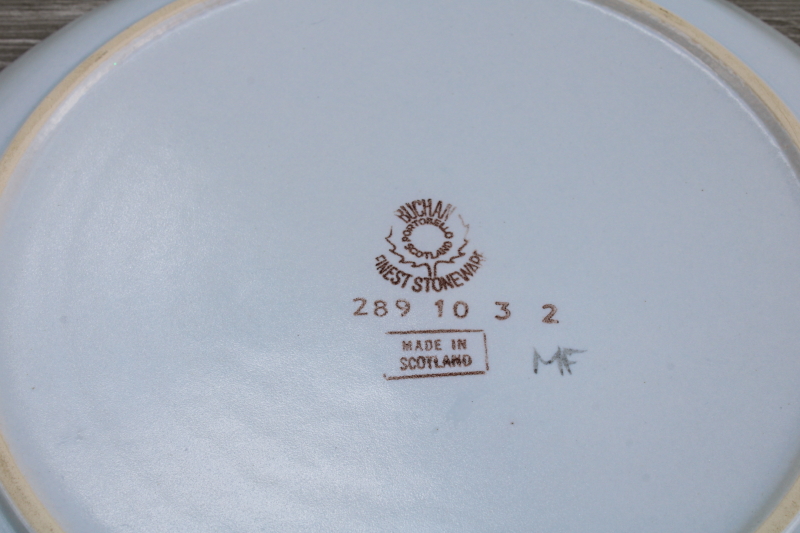 photo of Buchan thistle ware vintage hand painted stoneware dinner plates made in Scotland #6