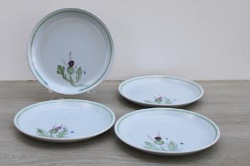 catalog photo of Buchan thistle ware vintage hand painted stoneware dinner plates made in Scotland