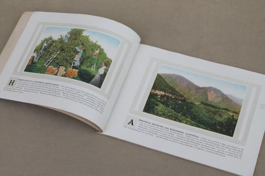 photo of California & Grand Canyon grand tour vintage illustrated guide book dated 1919 #4