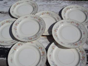 catalog photo of Cashmere floral vintage Homer Laughlin Georgian china plates set of 8