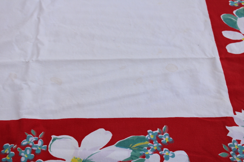 photo of Christmas magnolias print vintage cotton tablecloth, red border w/ green & white flowers #3