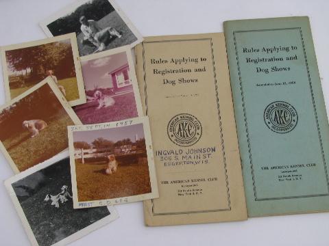 photo of Cocker Spaniel dog pedigrees, old show stock papers, breed photos #3