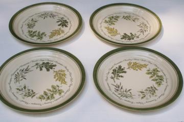 catalog photo of Corelle Thymeless Herbs pattern dinner plates set of 4, vintage country cottagecore dishes 