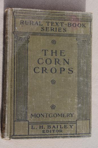 photo of Corn Crops, vintage 1920 farming text book, agricultural field crop maize sorghum grain production #1