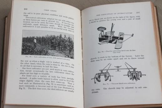 photo of Corn Crops, vintage 1920 farming text book, agricultural field crop maize sorghum grain production #3