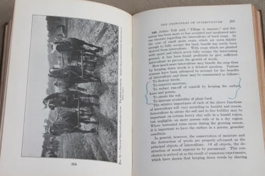 photo of Corn Crops, vintage 1920 farming text book, agricultural field crop maize sorghum grain production #5