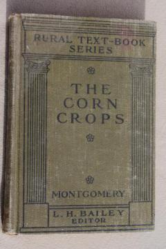 catalog photo of Corn Crops, vintage 1920 farming text book, agricultural field crop maize sorghum grain production