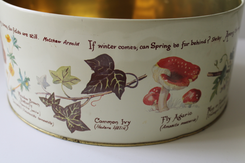 photo of Country Diary of an Edwardian Lady nature art print tin, large round cake box vintage  #3