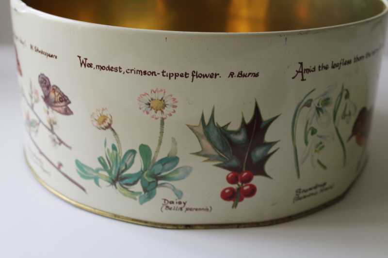 photo of Country Diary of an Edwardian Lady nature art print tin, large round cake box vintage  #5