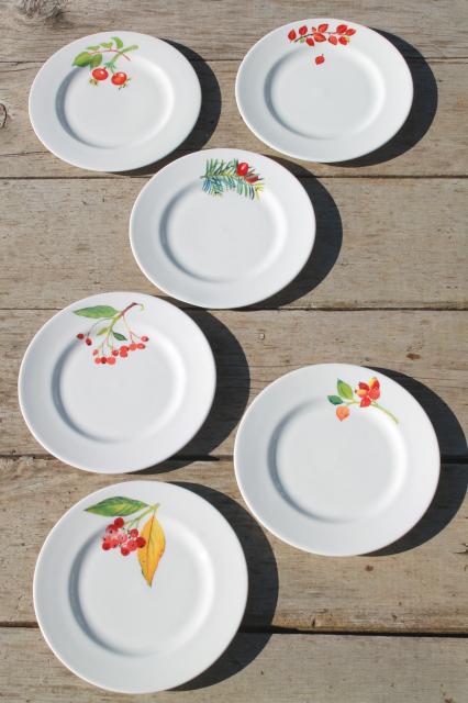 photo of Crate & Barrel Christmas holiday berry china plates, Mary Woodin Crate and Barrel #1