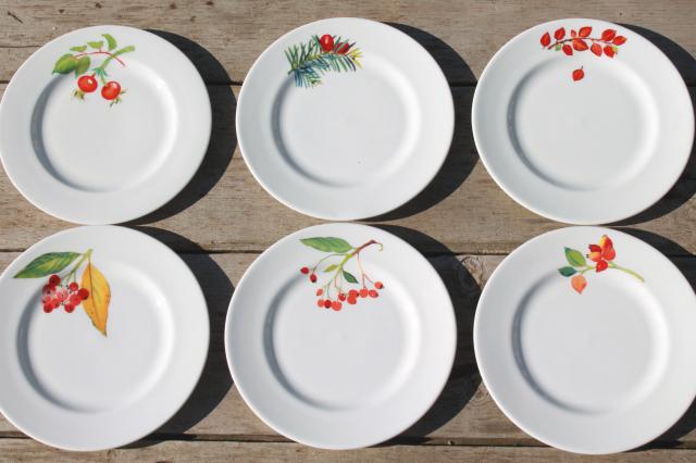 photo of Crate & Barrel Christmas holiday berry china plates, Mary Woodin Crate and Barrel #4