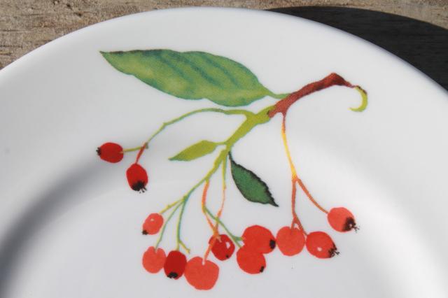 photo of Crate & Barrel Christmas holiday berry china plates, Mary Woodin Crate and Barrel #7