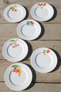 catalog photo of Crate & Barrel Christmas holiday berry china plates, Mary Woodin Crate and Barrel