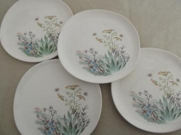 catalog photo of Crooksville Iva-Lure wildflower dinner plates, vintage china dinnerware