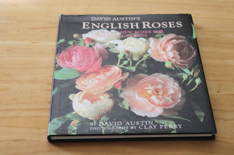 photo of David Austins English Roses, tons of photos cutting gardens, catalog of rose varieties #1