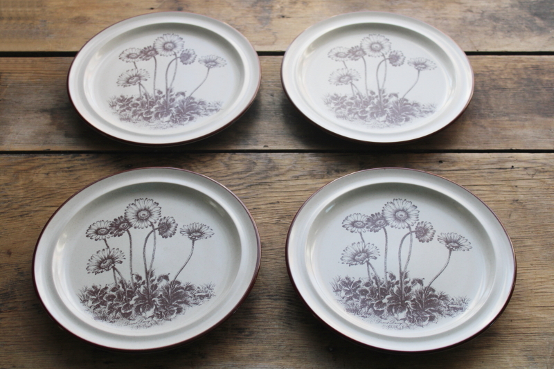 photo of Desert Flowers desert daisy stoneware salad plates set of 4, vintage Noritake dinnerware  #1