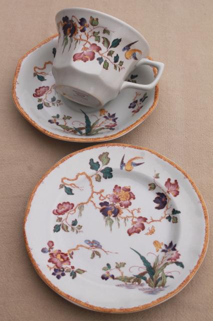 photo of Devon Rose Wedgwood vintage china tea set, cups & saucers, bread & butter plates #3