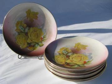 catalog photo of Dresden china antique vintage hand-painted porcelain plates, yellow roses