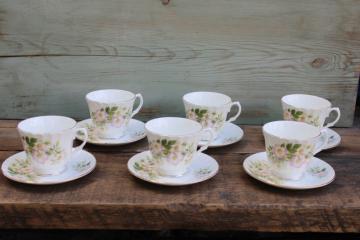 Duchess England bone china vintage set 6 tea cups & saucers, pink wild roses dog rose pattern 