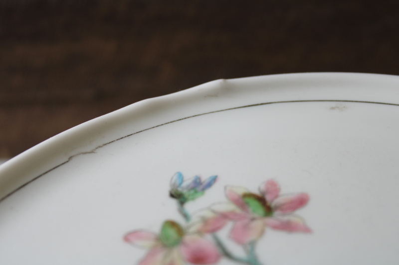 photo of EAPG antique hand painted milk glass cake stand, 1800s vintage Challinor Taylor pedestal plate  #2