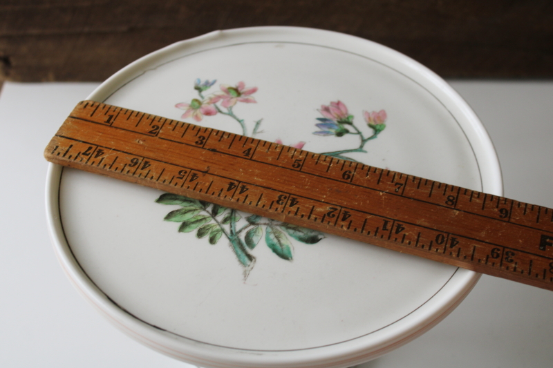 photo of EAPG antique hand painted milk glass cake stand, 1800s vintage Challinor Taylor pedestal plate  #3