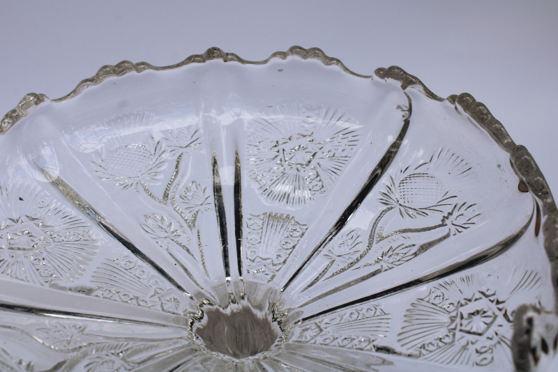 photo of EAPG paneled thistle pattern antique glass compote, early 1900s vintage pressed glass #2