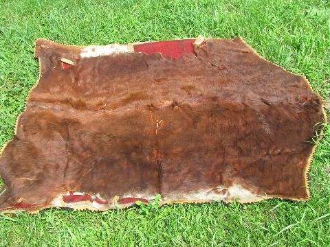 photo of Ede label, antique fur hide / print wool blanket sleigh or buggy robe, vintage 1916 #1