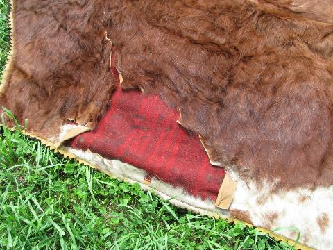 photo of Ede label, antique fur hide / print wool blanket sleigh or buggy robe, vintage 1916 #2