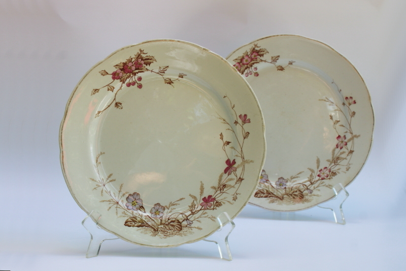 photo of Edwardian era antique transferware ironstone china dinner plates, stained brown & pink floral  #1