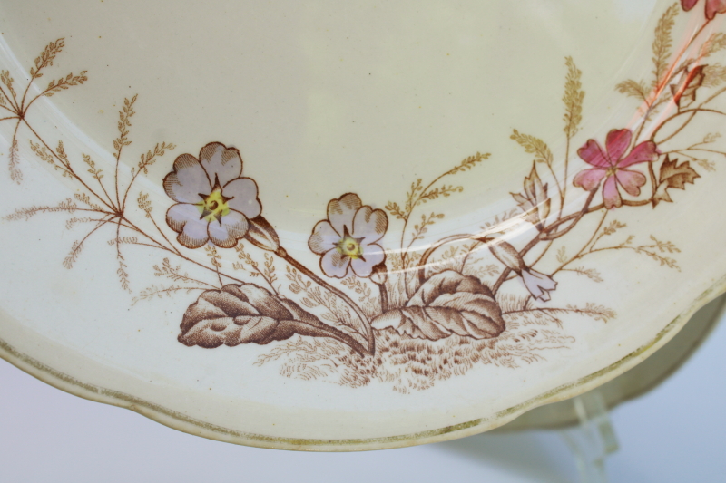 photo of Edwardian era antique transferware ironstone china dinner plates, stained brown & pink floral  #2