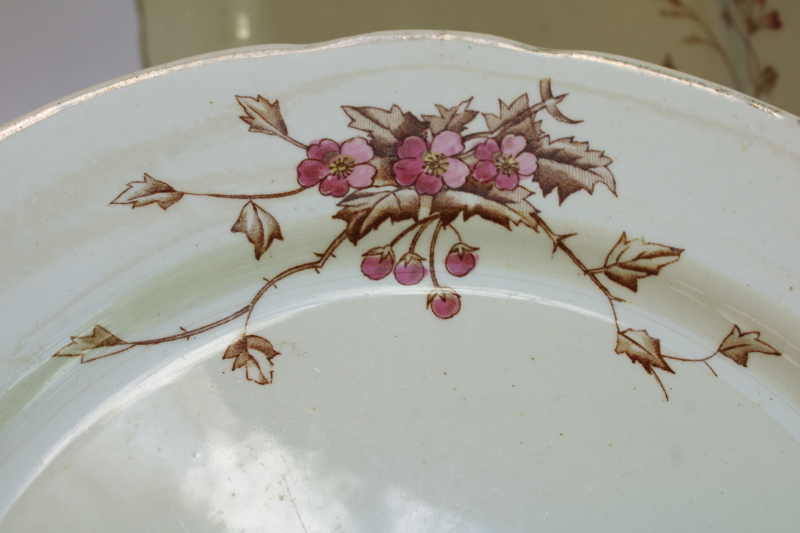 photo of Edwardian era antique transferware ironstone china dinner plates, stained brown & pink floral  #3