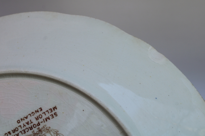 photo of Edwardian era antique transferware ironstone china dinner plates, stained brown & pink floral  #5