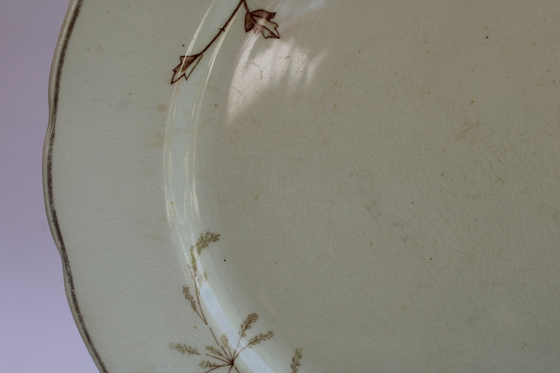 photo of Edwardian era antique transferware ironstone china dinner plates, stained brown & pink floral  #6