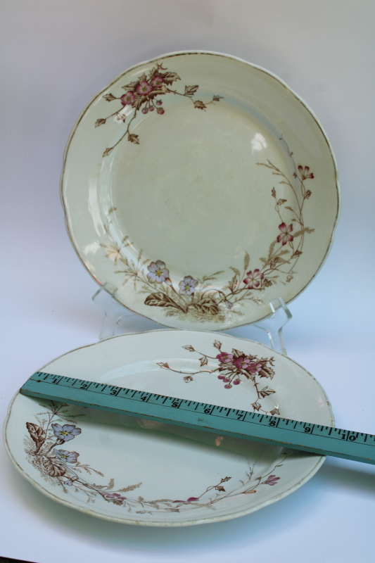 photo of Edwardian era antique transferware ironstone china dinner plates, stained brown & pink floral  #7