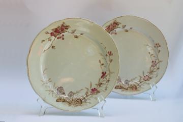 catalog photo of Edwardian era antique transferware ironstone china dinner plates, stained brown & pink floral 