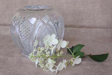 catalog photo of Empire pattern EAPG antique pressed glass rose bowl vase, vintage crystal clear glass