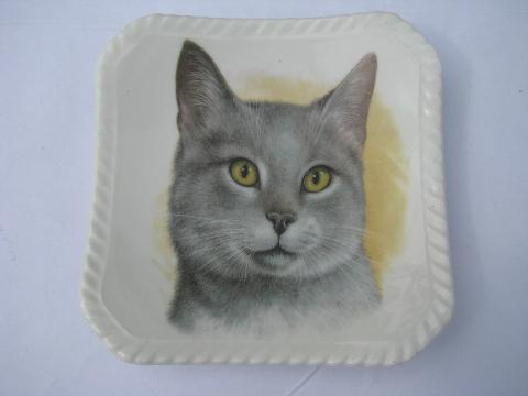 photo of English bone china small square plates, each with a different cat #2