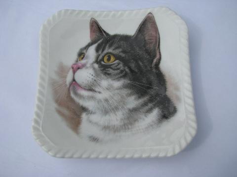 photo of English bone china small square plates, each with a different cat #3