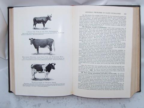 photo of Feeds and Feeding, illustrated livestock nutrition/animal husbandry handbook for the farm library,1936 #3