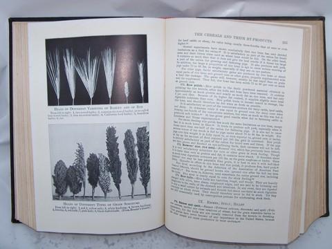 photo of Feeds and Feeding, illustrated livestock nutrition/animal husbandry handbook for the farm library,1936 #4