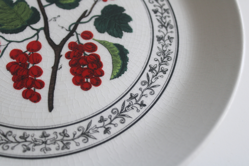 photo of French de groseilles red currants salad plate, vintage Johnson Bros English ironstone china  #3