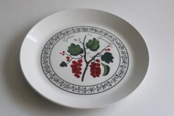 catalog photo of French de groseilles red currants salad plate, vintage Johnson Bros English ironstone china 