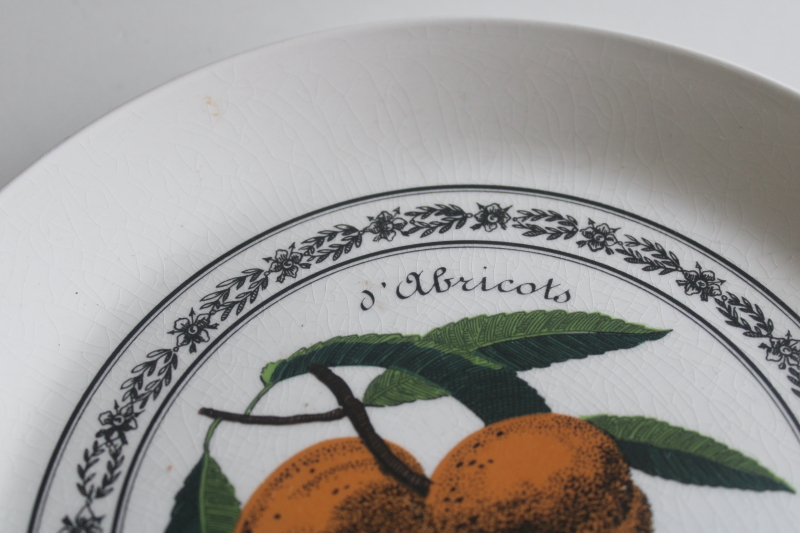 photo of French fruits d Abricots salad plate, vintage Johnson Bros English ironstone china  #3