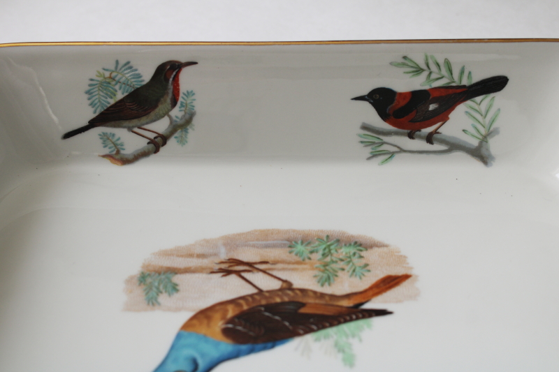 photo of French heat proof porcelain casserole baking dish w/ song birds print, Lourioux La Faune ironstone china  #3